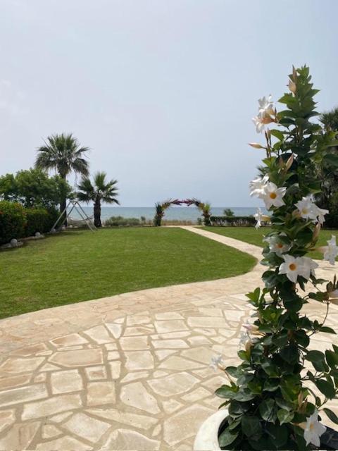 Ionion Beachfront Villa Aya Napa Dış mekan fotoğraf
