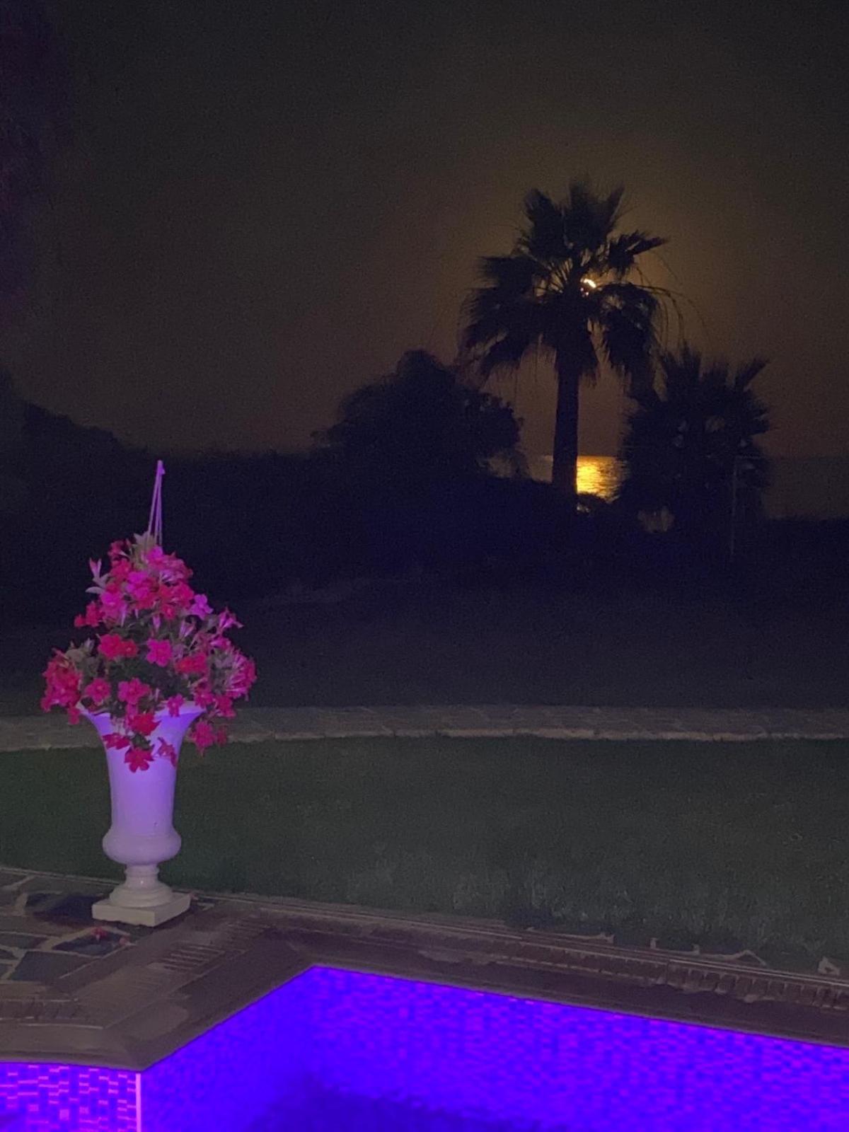 Ionion Beachfront Villa Aya Napa Dış mekan fotoğraf