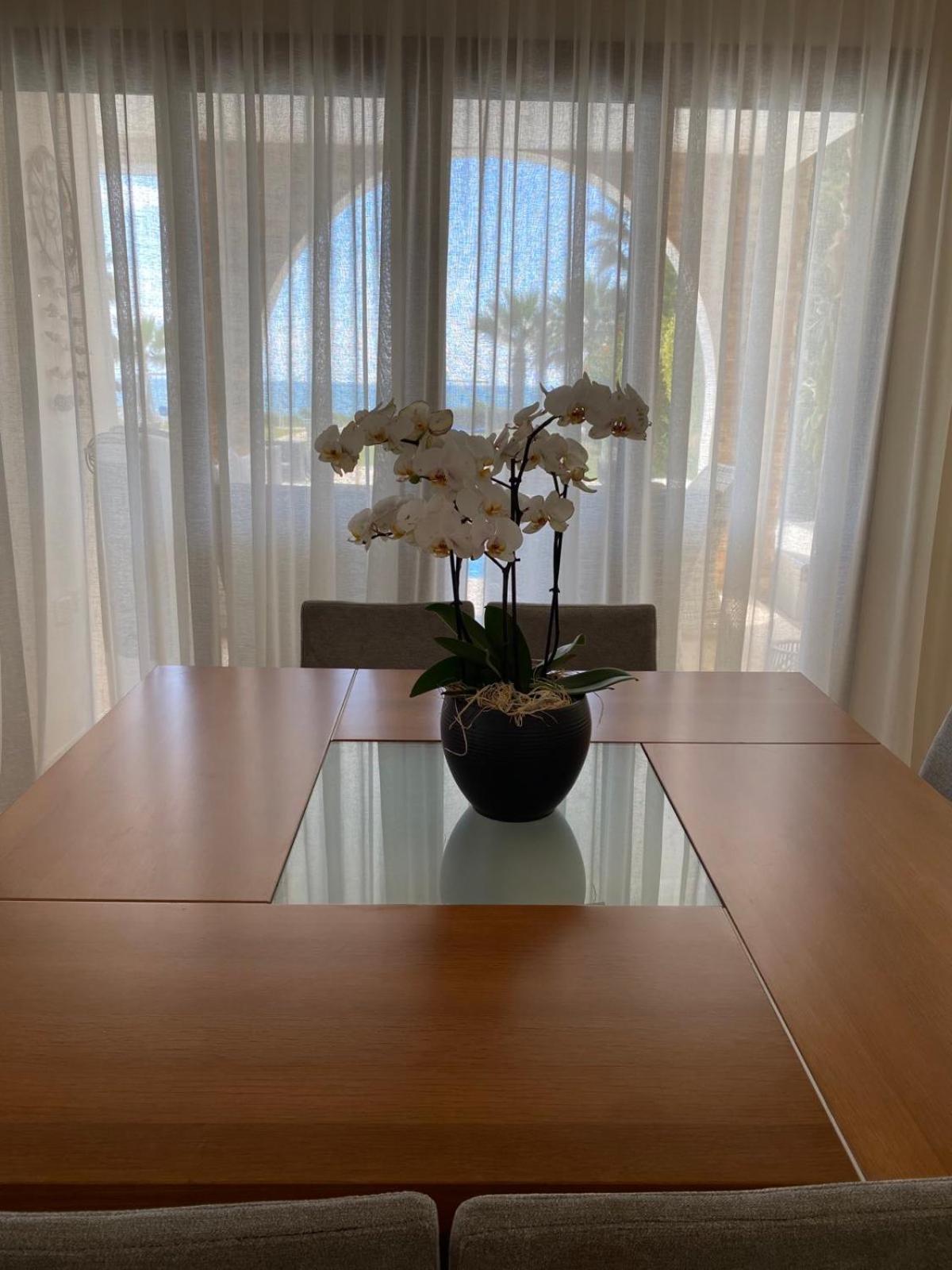 Ionion Beachfront Villa Aya Napa Dış mekan fotoğraf